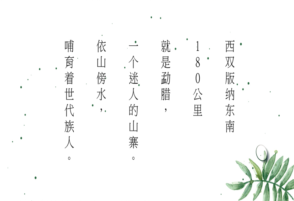 小蜜蜂蜜VI設(shè)計|張家港品牌策劃|品牌設(shè)計★張家港早晨設(shè)計★企業(yè)VI設(shè)計|企業(yè)策劃|形象設(shè)計|張家港Logo設(shè)計|標(biāo)志設(shè)計|商標(biāo)設(shè)計|字體設(shè)計|圖形設(shè)計